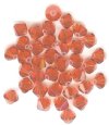 25 Indian Red 5mm Bicone Swarovski